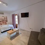 Magnifico Loft Sevillano En El Centro