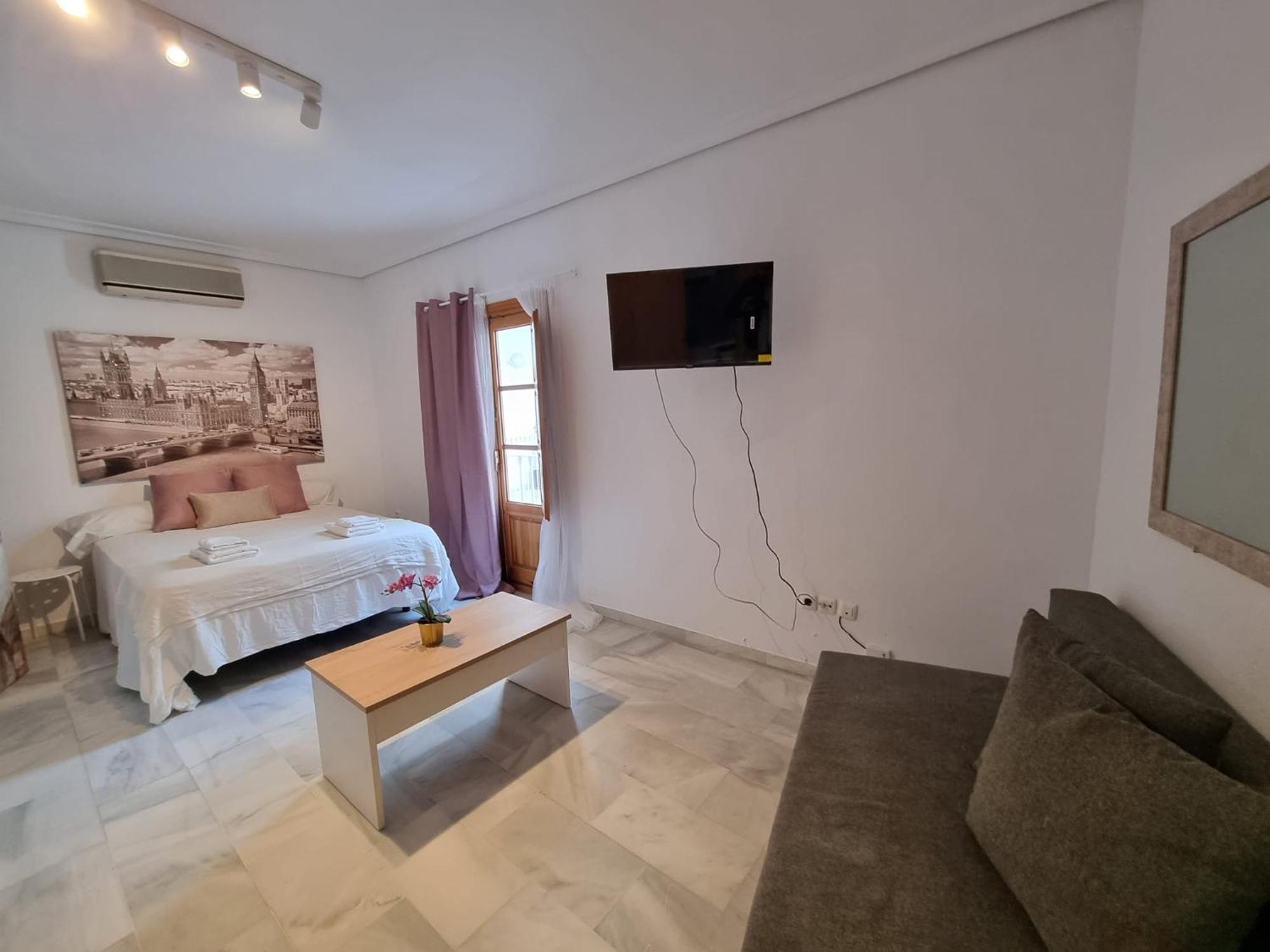 Magnifico Loft Sevillano En El Centro Séville