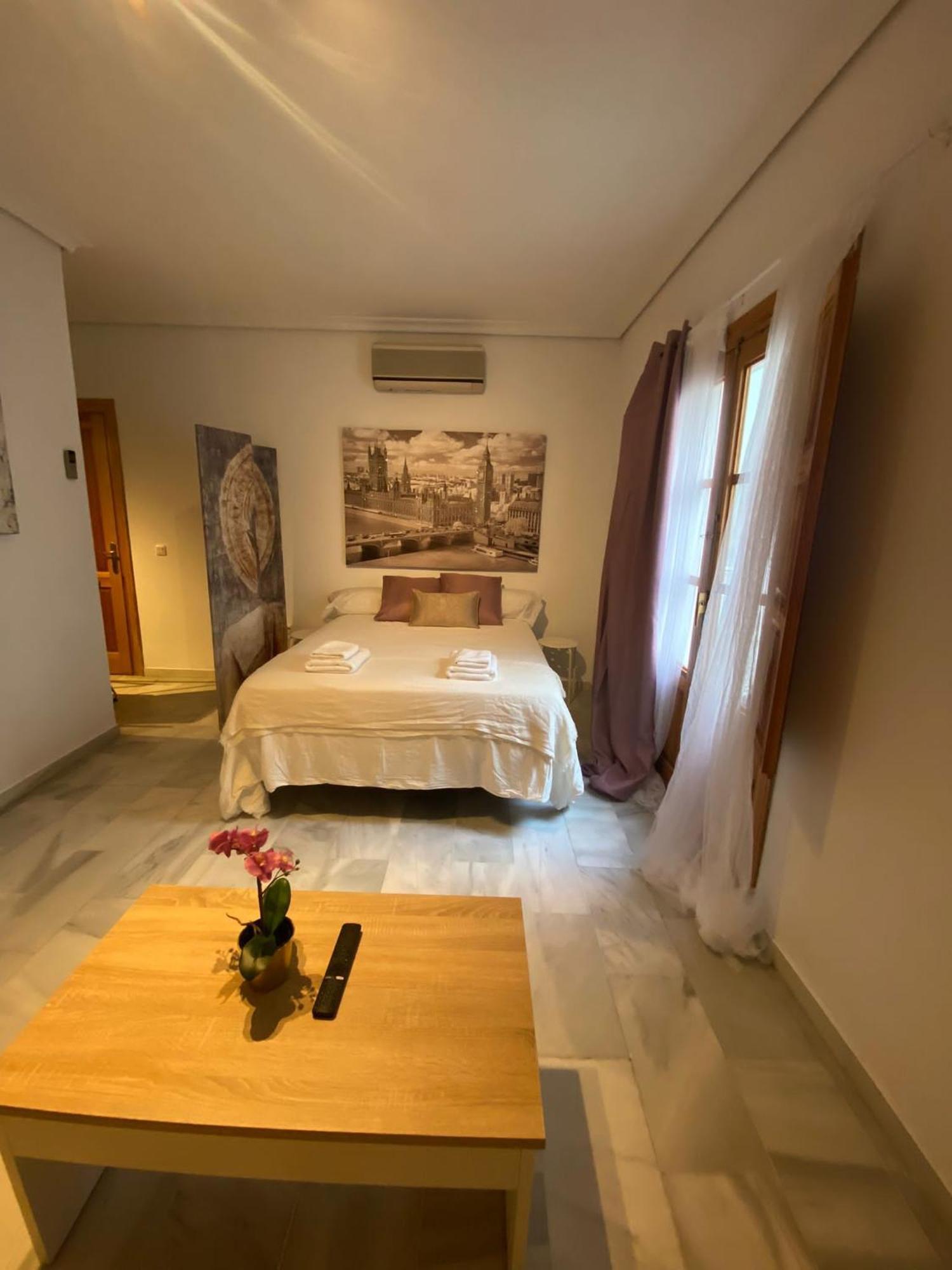 Magnifico Loft Sevillano En El Centro